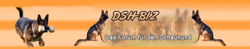 Das Forum fr den Schauhund
